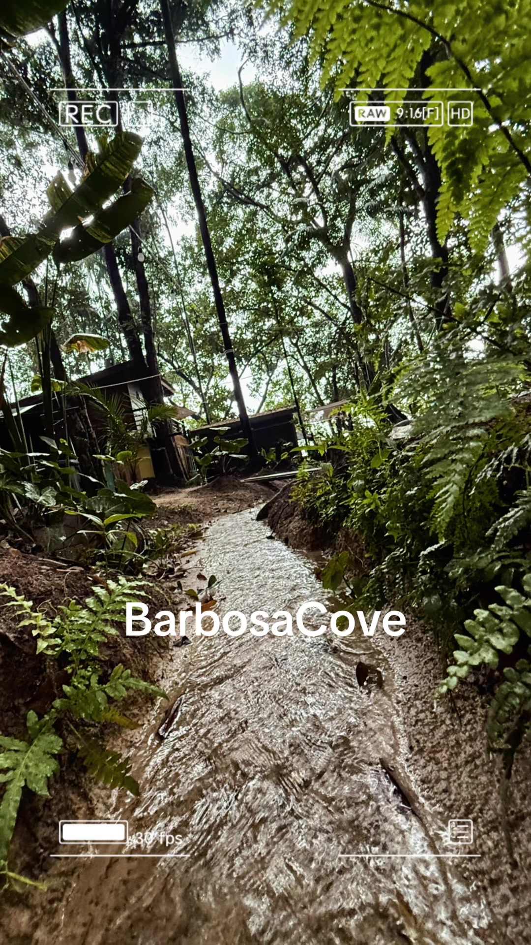 @barbosacove