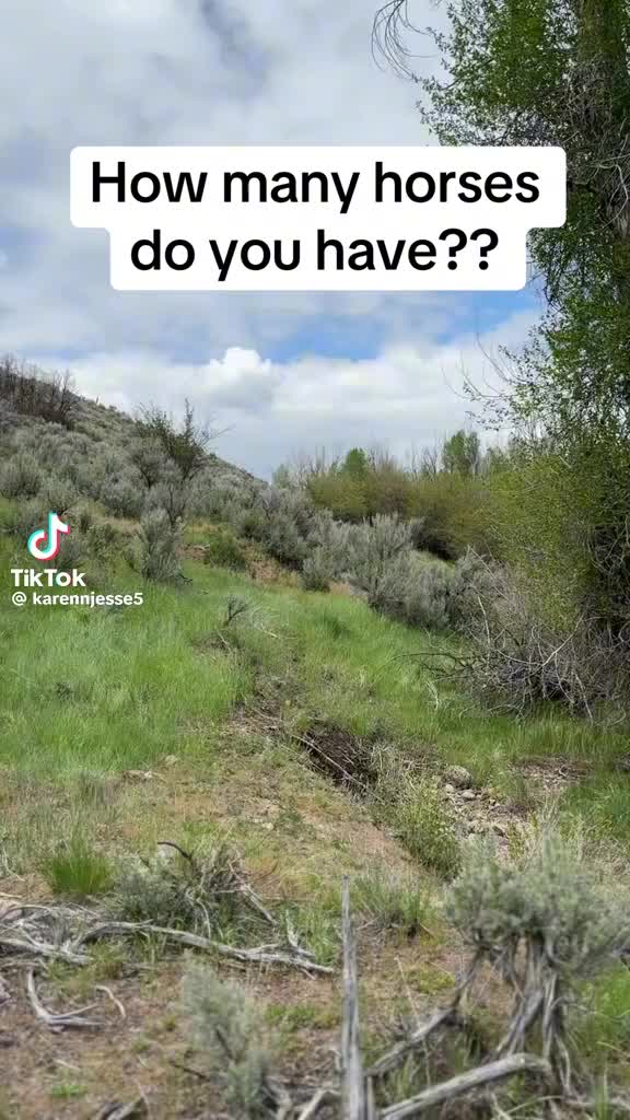 @blancapavon575