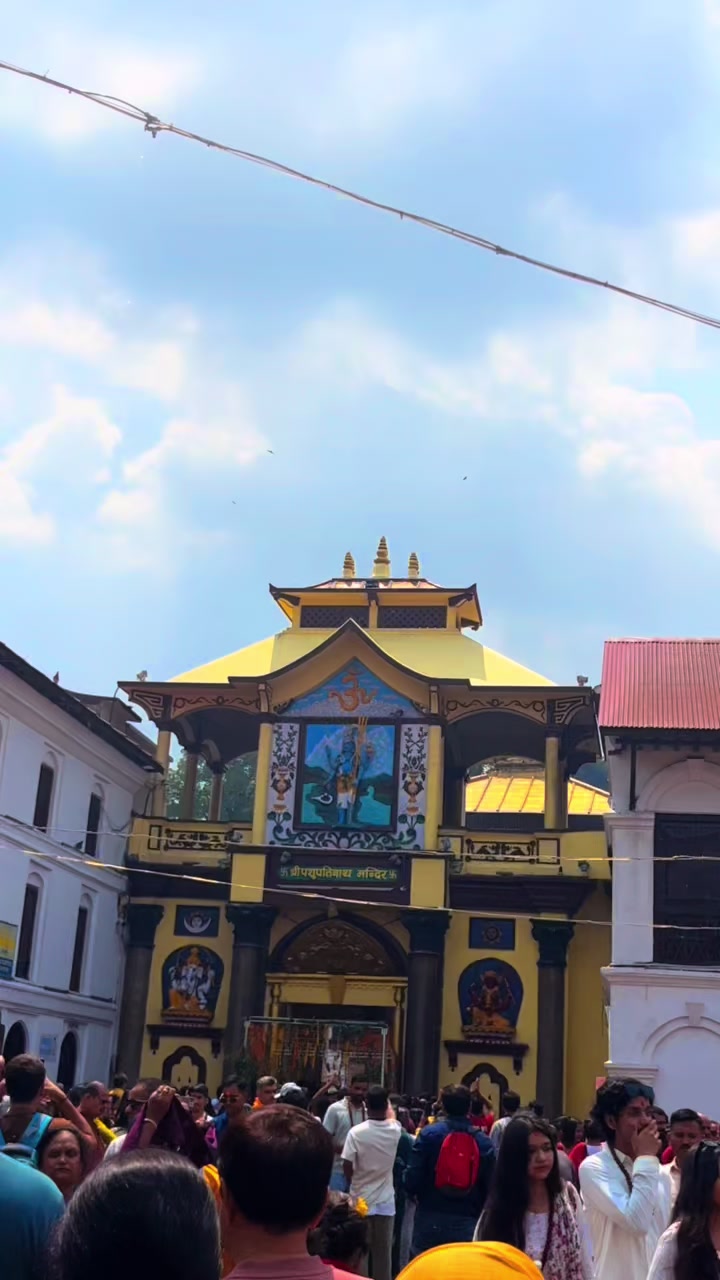 @xettree_birendra