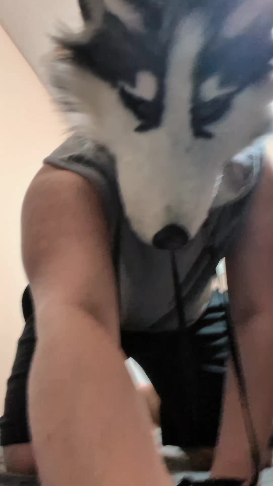 @𓃩[✦ HUSKY ✦ ]𓋹