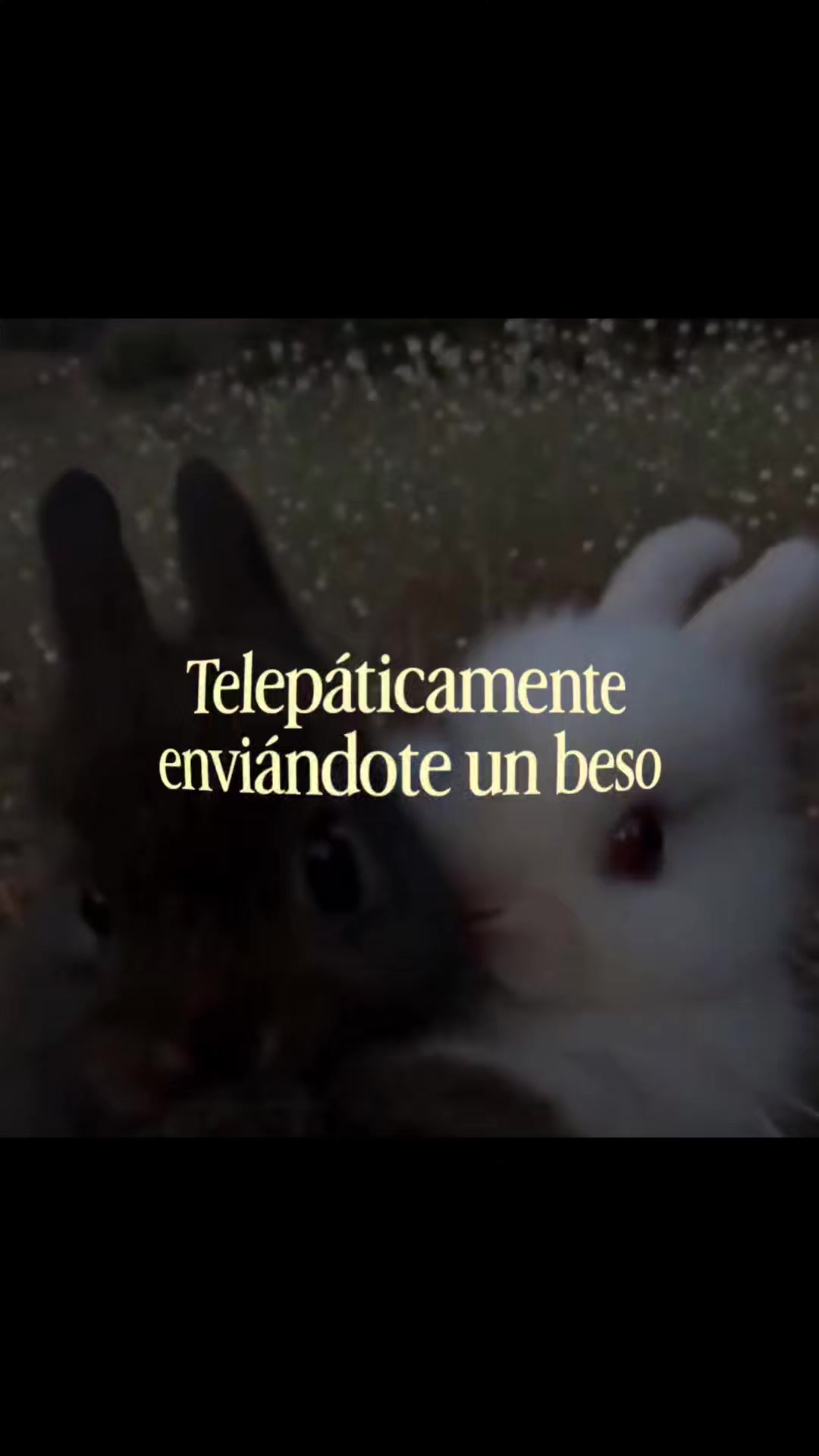 @goodvibessxd