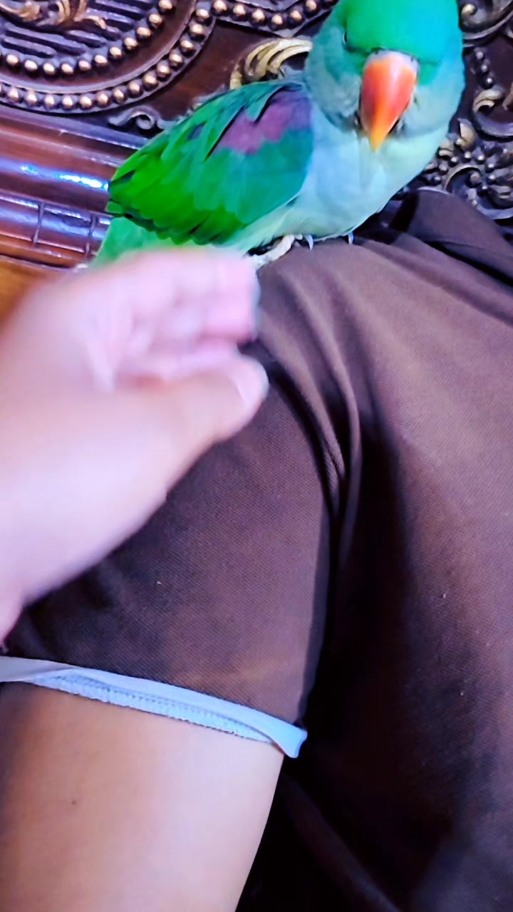 @⚔️A ❤️ S⚔️