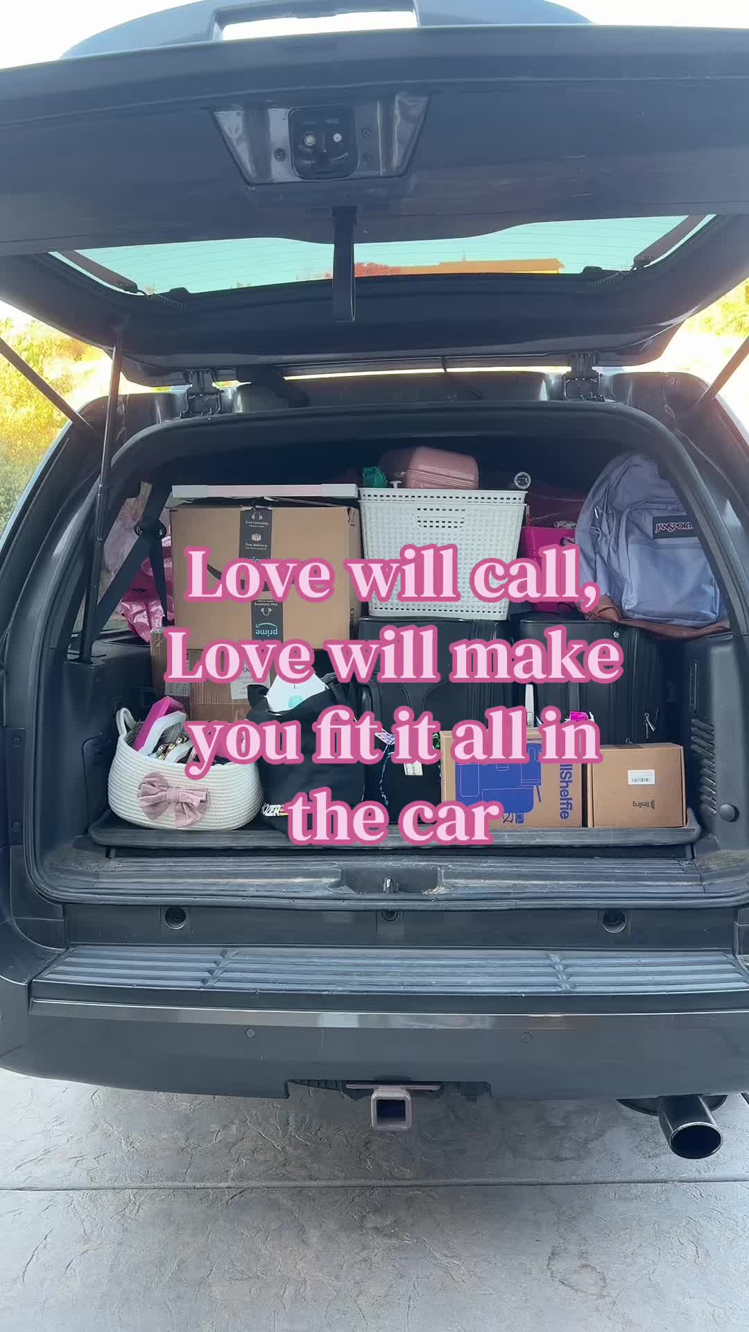 @Camryn Wittry