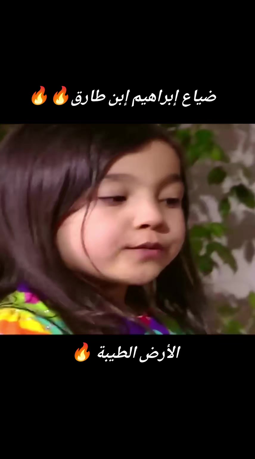 @الحساب للبيع في الجزائر