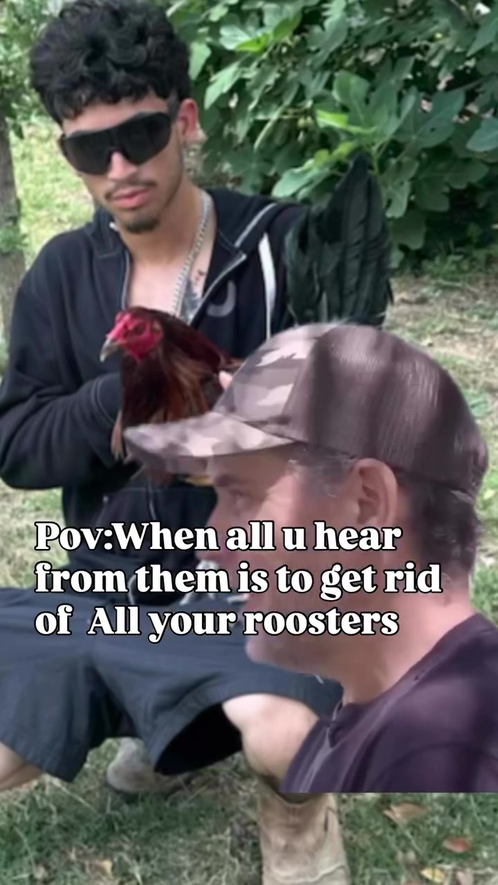 @PR_Gamefowl👑