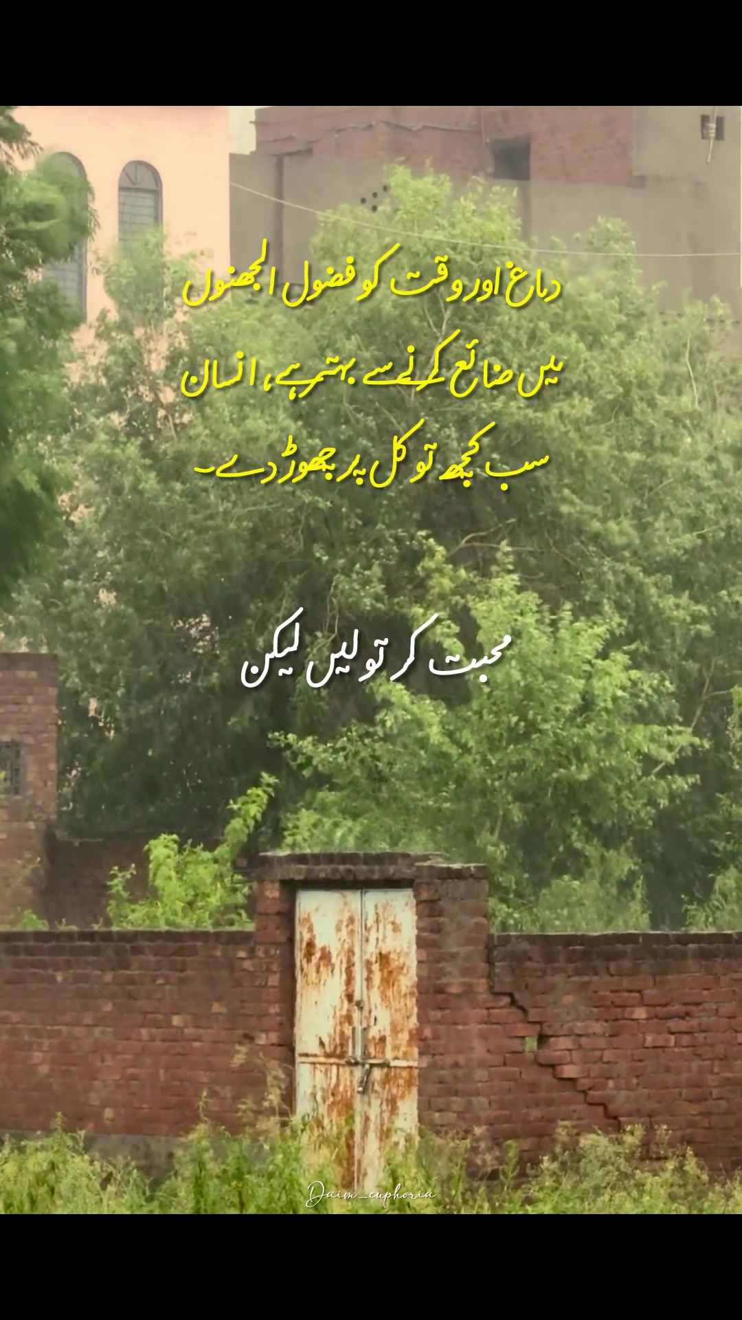 @daim_euphoria
