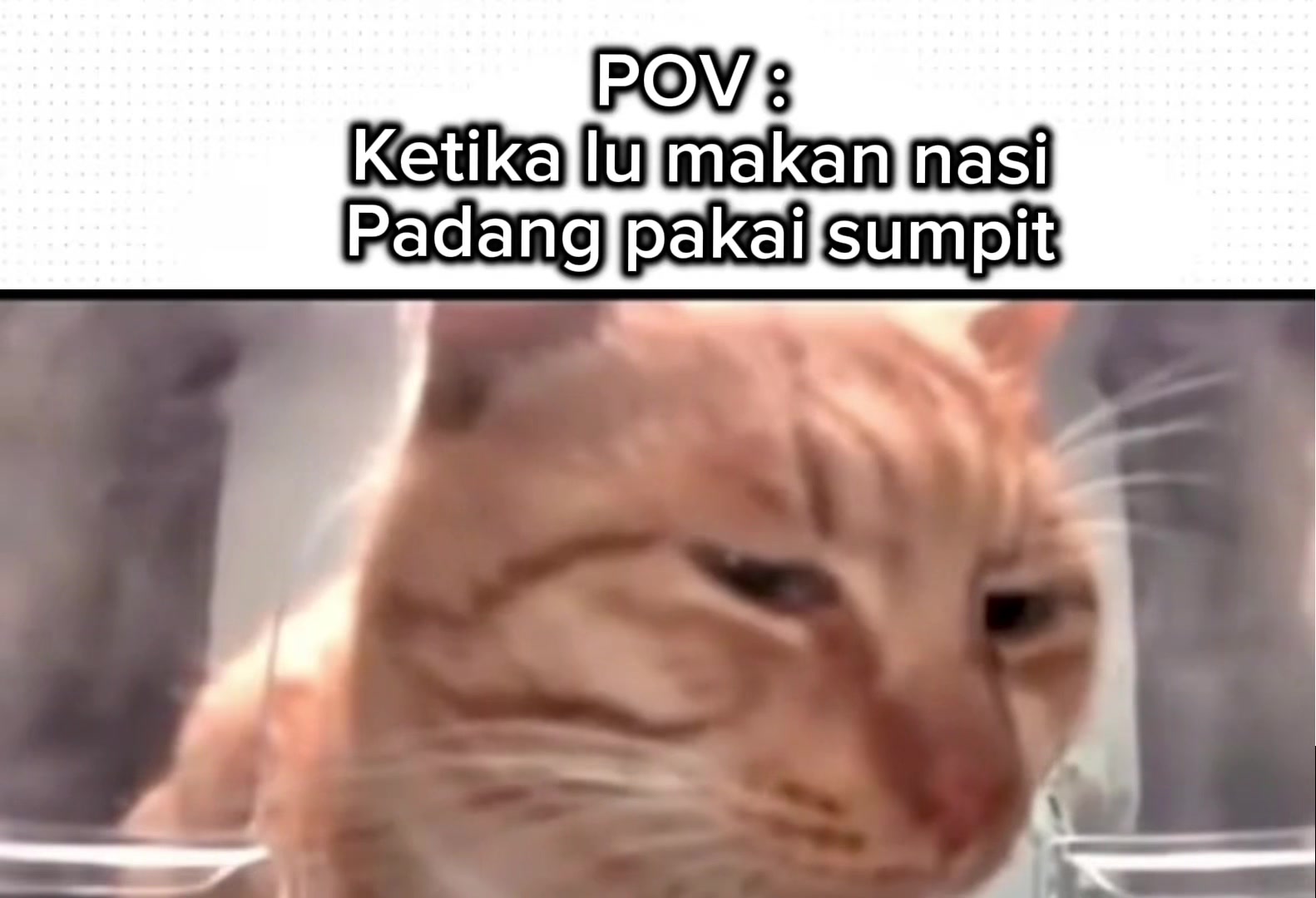 @RM. Padang RODA JAYA