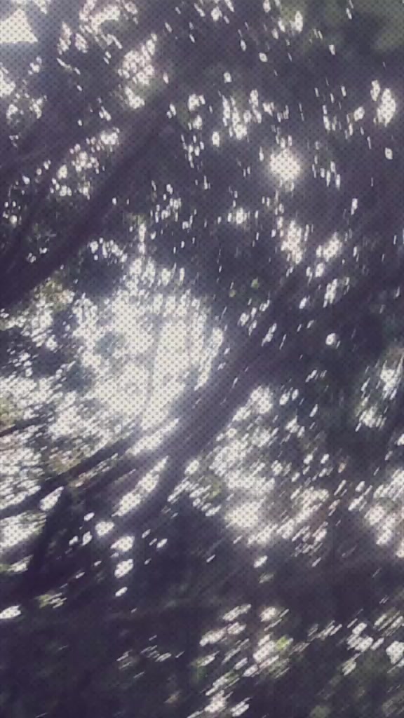 @🖤彡 𝐁𝐋𝐀𝐂𝐊 🥷 𝐌𝐀𝐅IYA彡🖤