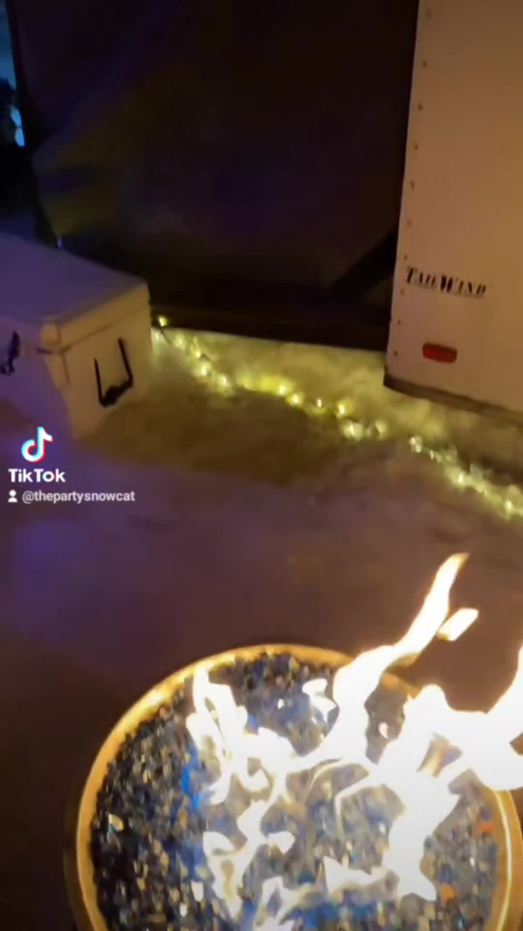 @ThePartyCat