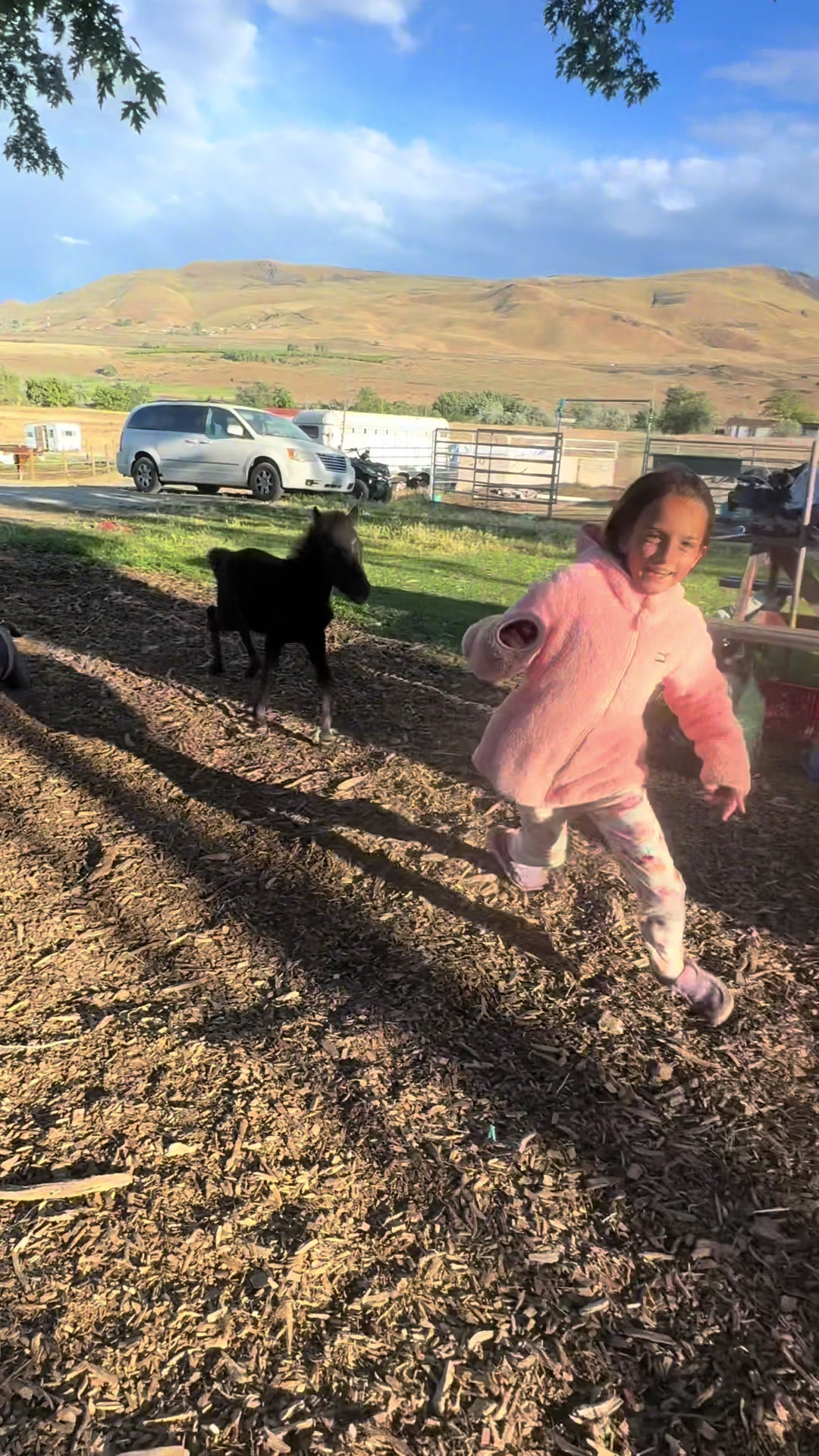 @Hot Sauce the Mini horse 🐎