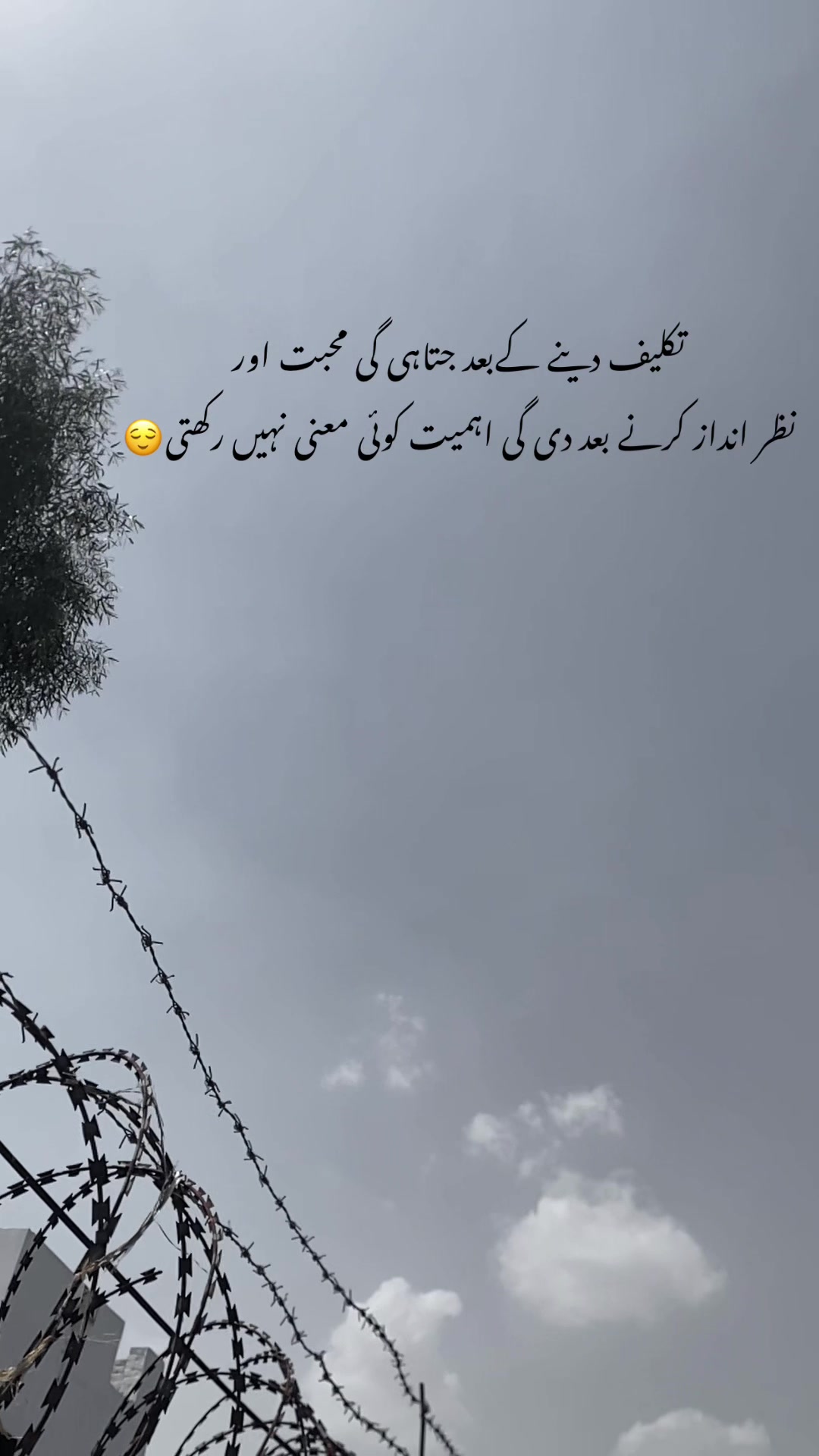 @ℍ𝕒𝕤𝕟𝕒𝕚𝕟_𝕨𝕣𝕚𝕥𝕖𝕤❤🩹