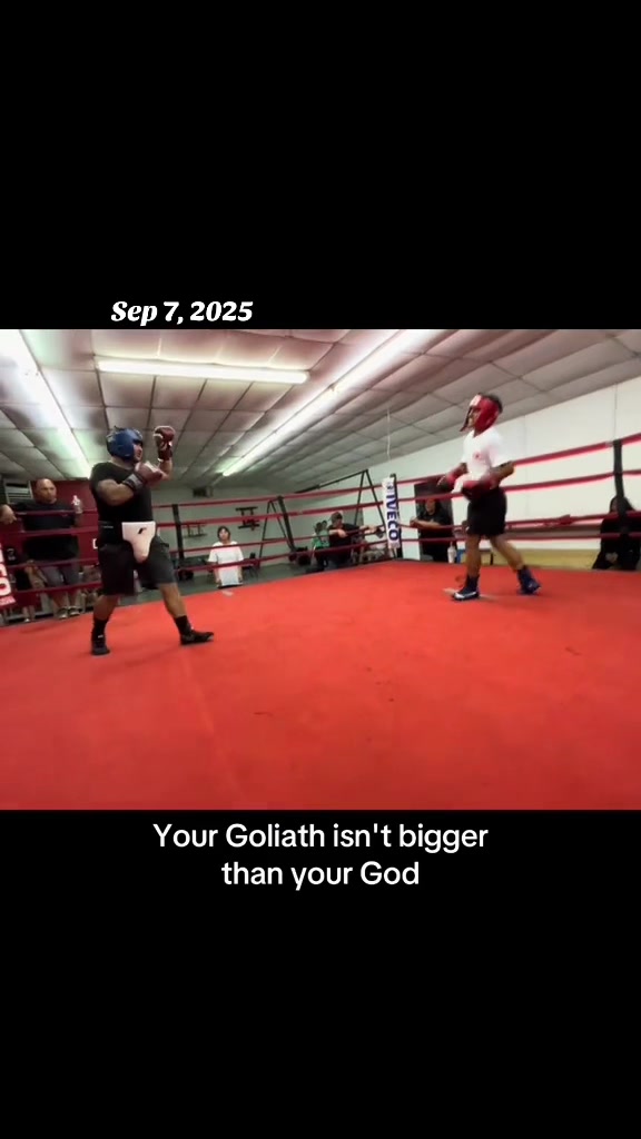 @real.davidlopez