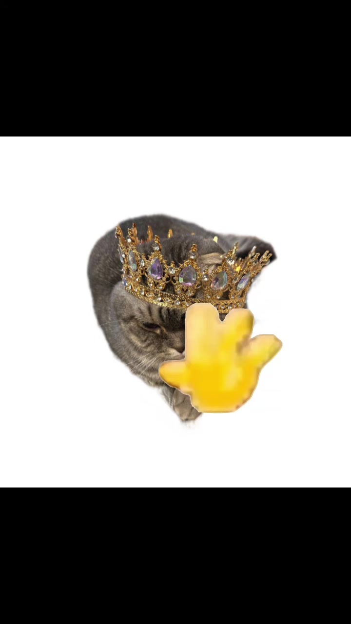 @Zlatoslava🩷cat