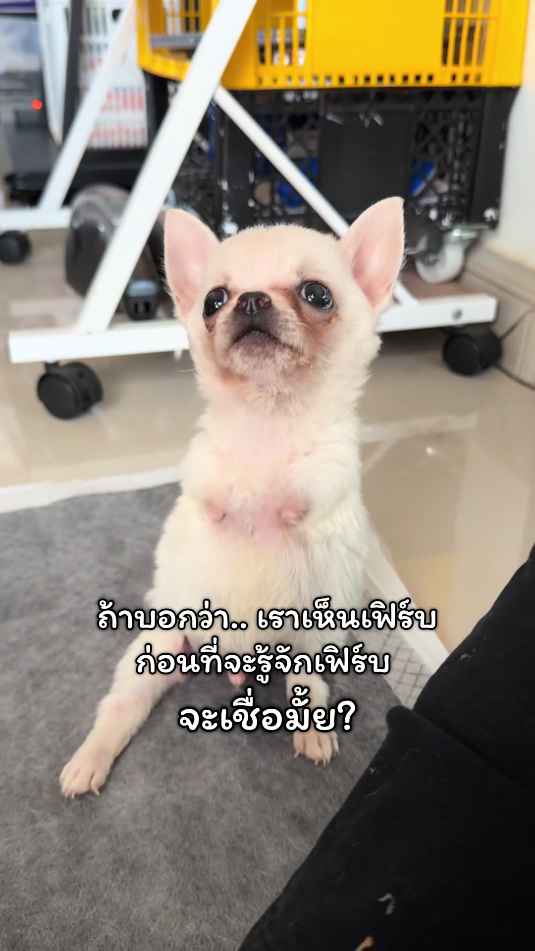 @ผมชื่อเฟิร์บ