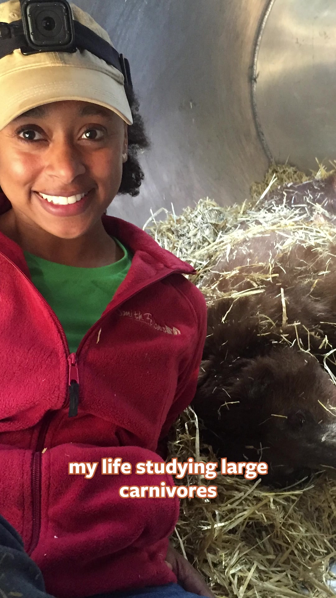 @Mutual of Omaha's Wild Kingdom