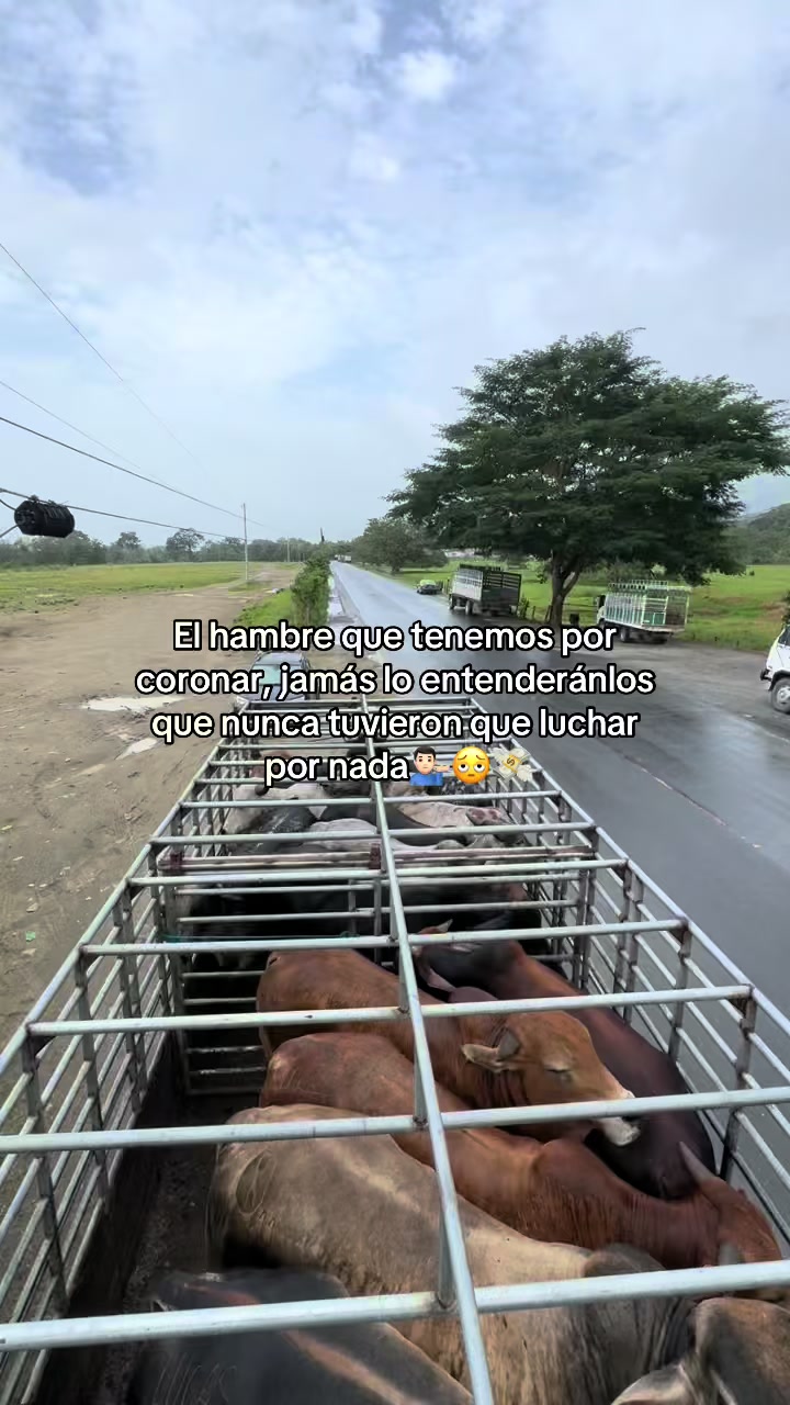 @️