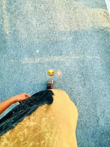 @🍁 SA NT O 