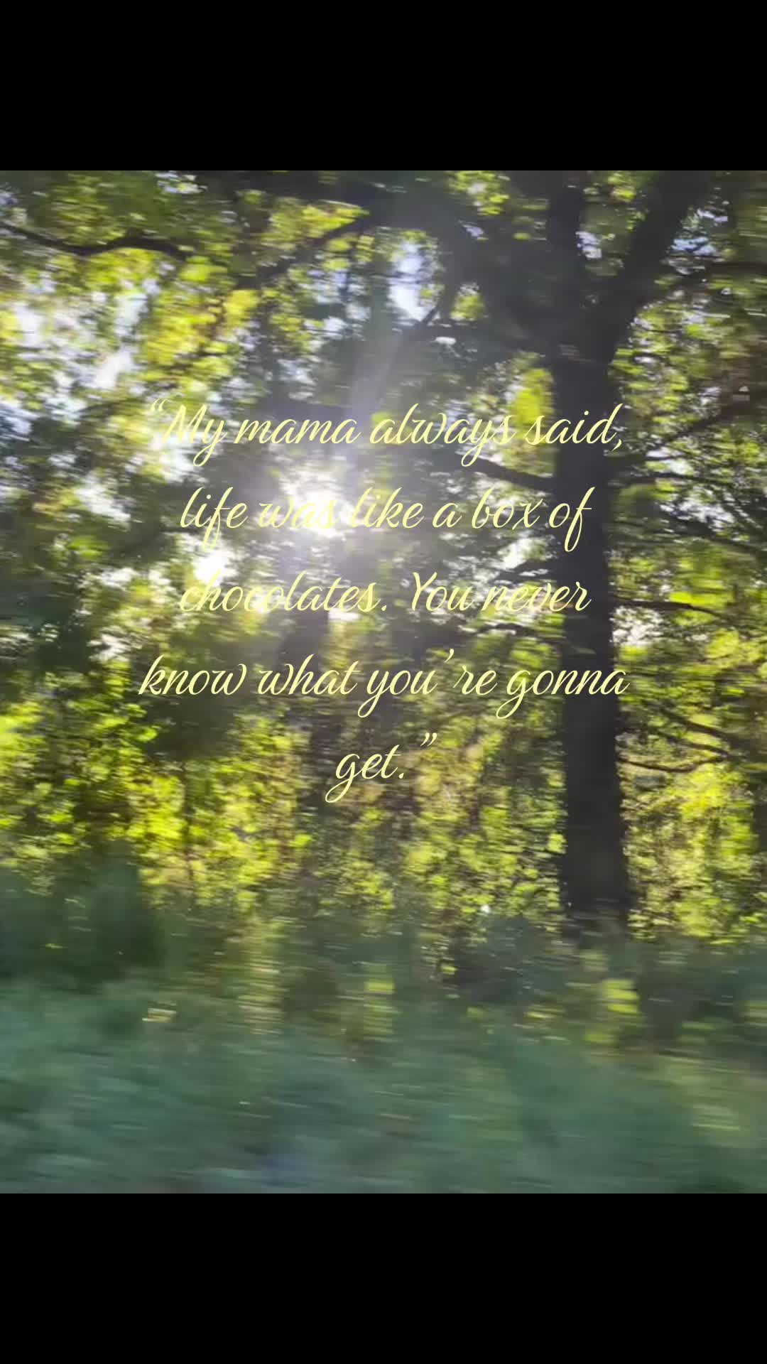 @🪲𝓋𝒾𝒸𝓉ℴ𝓇𝒾𝒶𓆣(go to him)