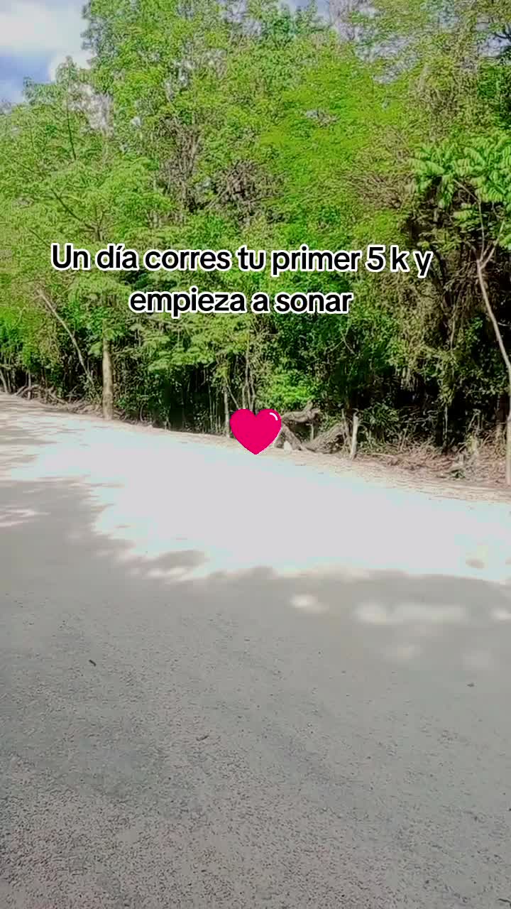 @Zulhy Andrade Gar