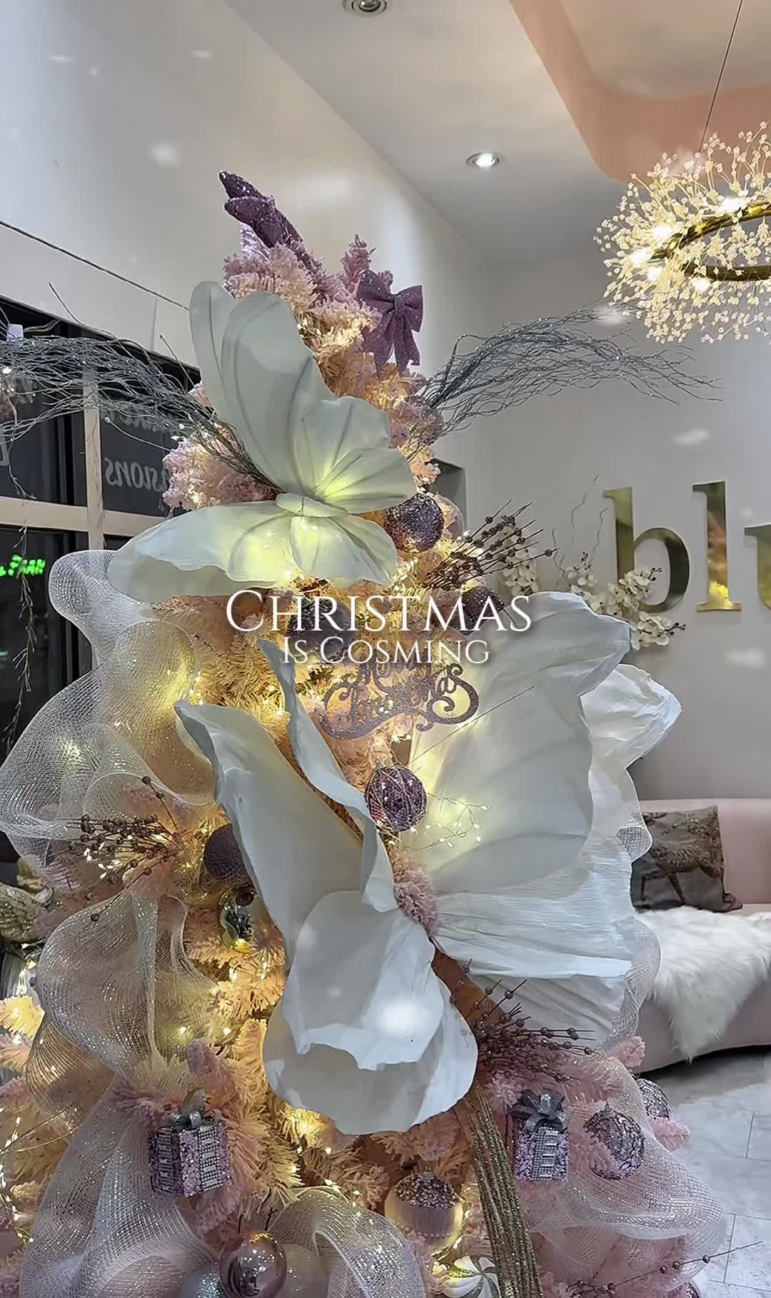 @Blush-Rosee beaute bar