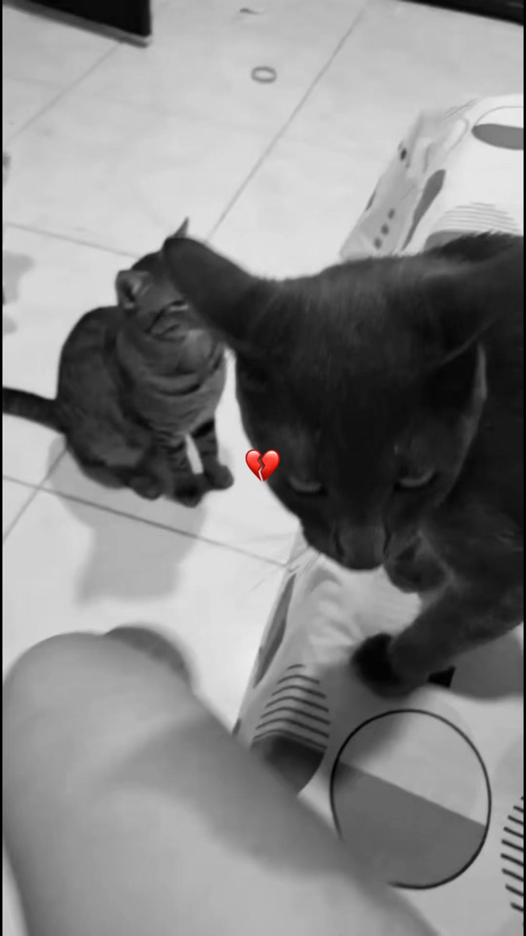 @๐๐๐ฎ๐ โตโตโต๐