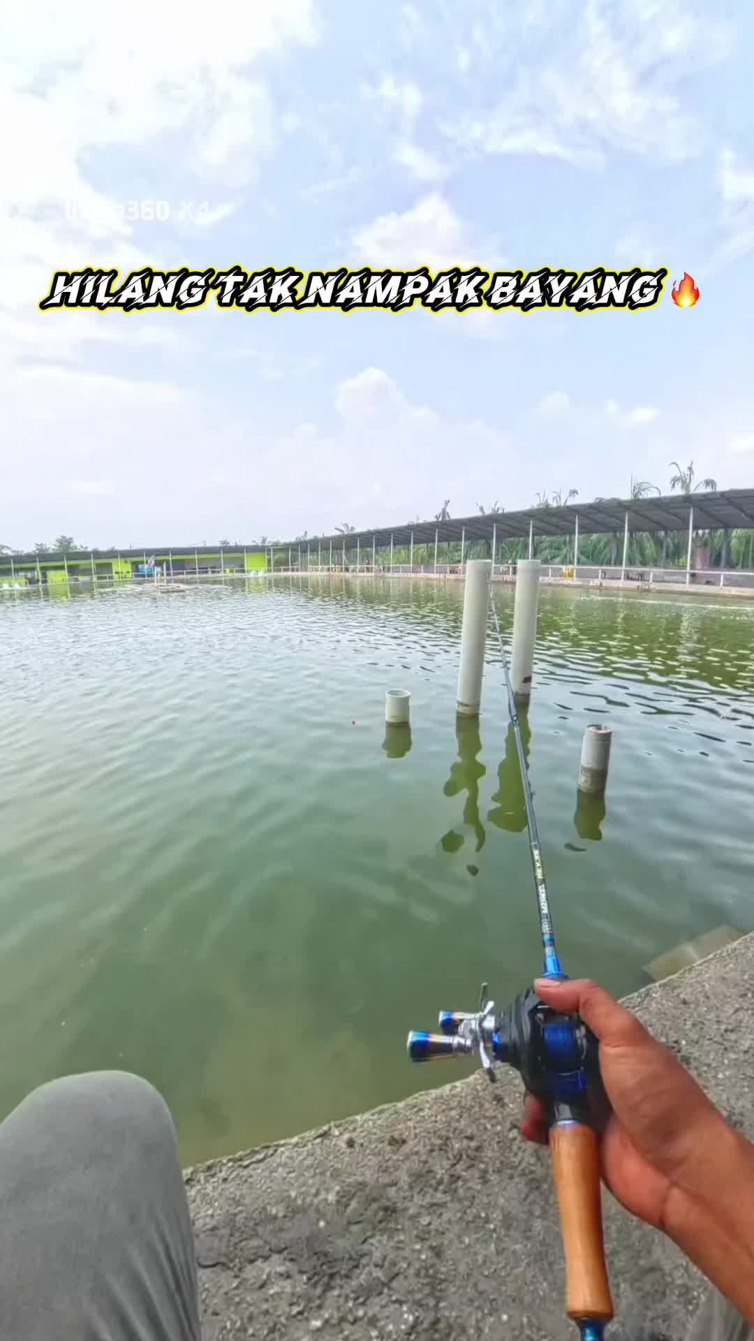 @M Z Reel 🎣