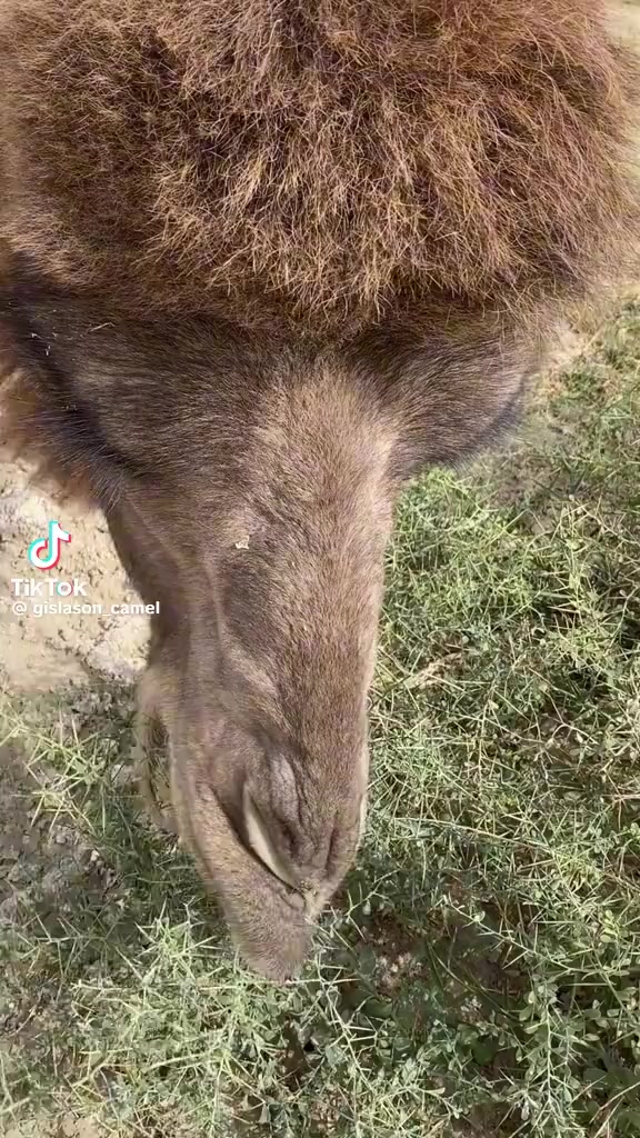 @ABOBKR. 🇸🇦