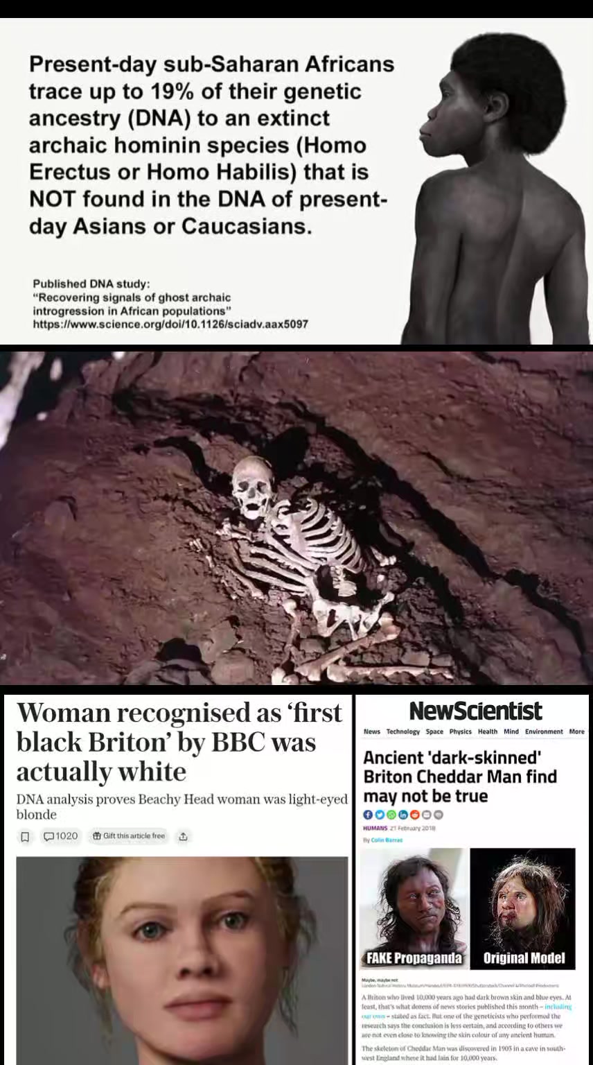 @RaceRealism
