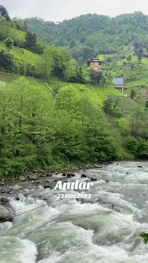 @doktor.aliyeva