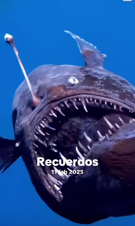 @Mundo oculto