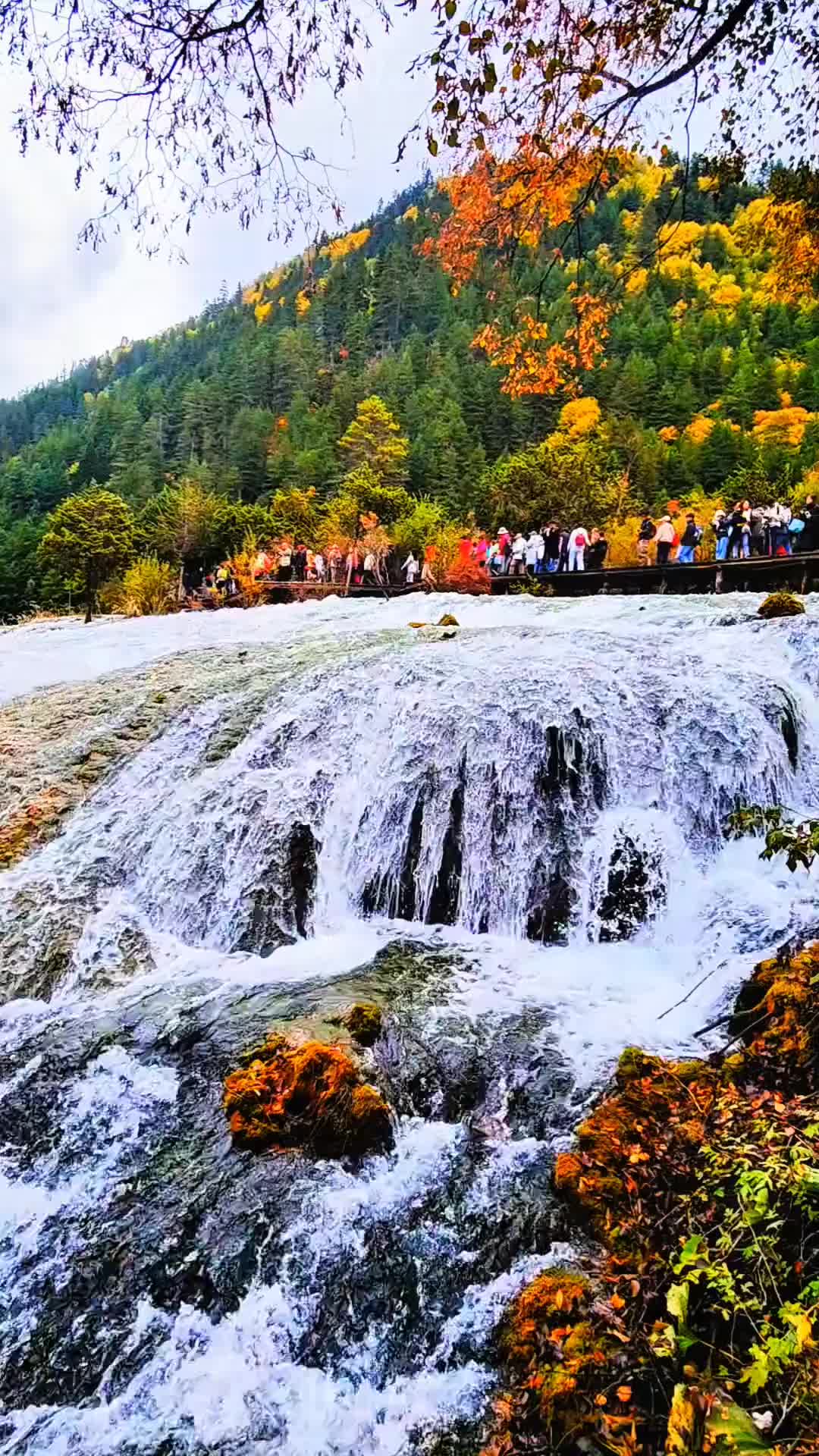 @marvinchen2b71