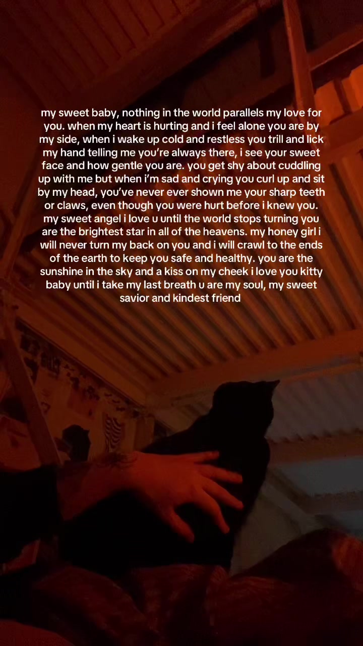 @serena🕷️