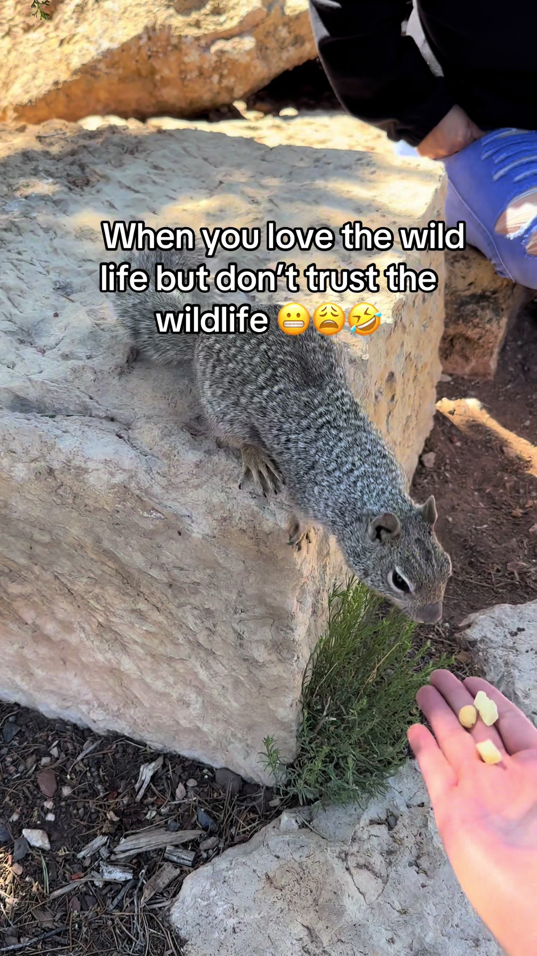 @Jo