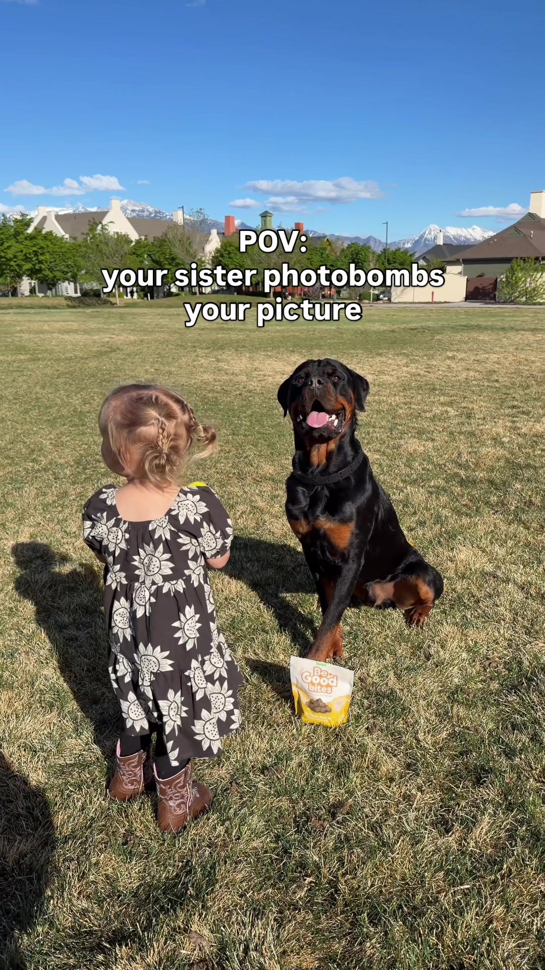 @Rex the Rottweiler