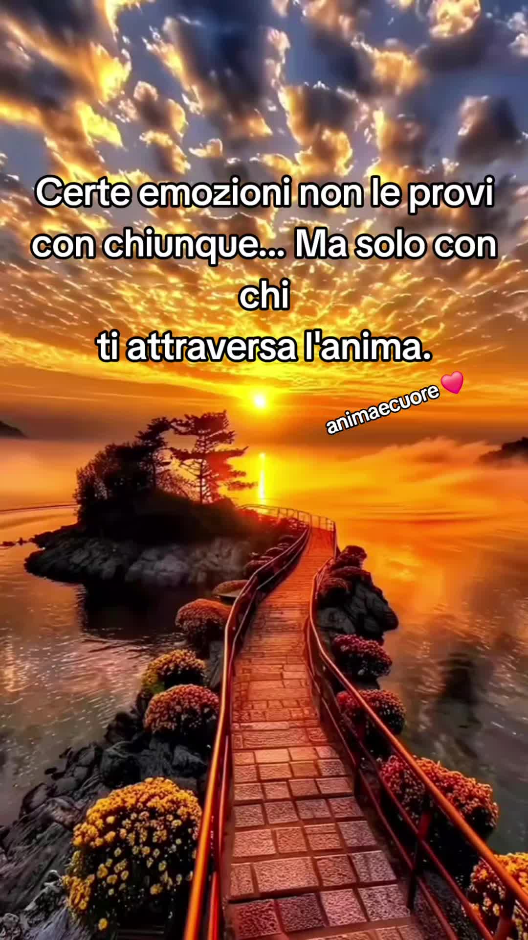 @animaecuore❤