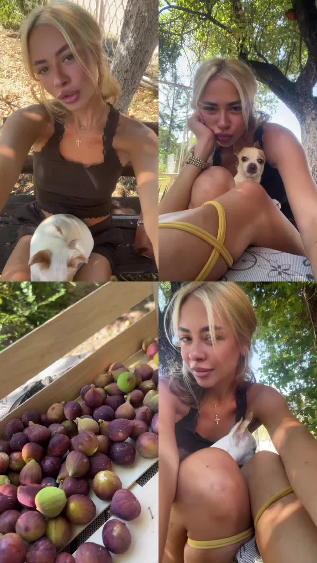 @lucijamilovanovic1