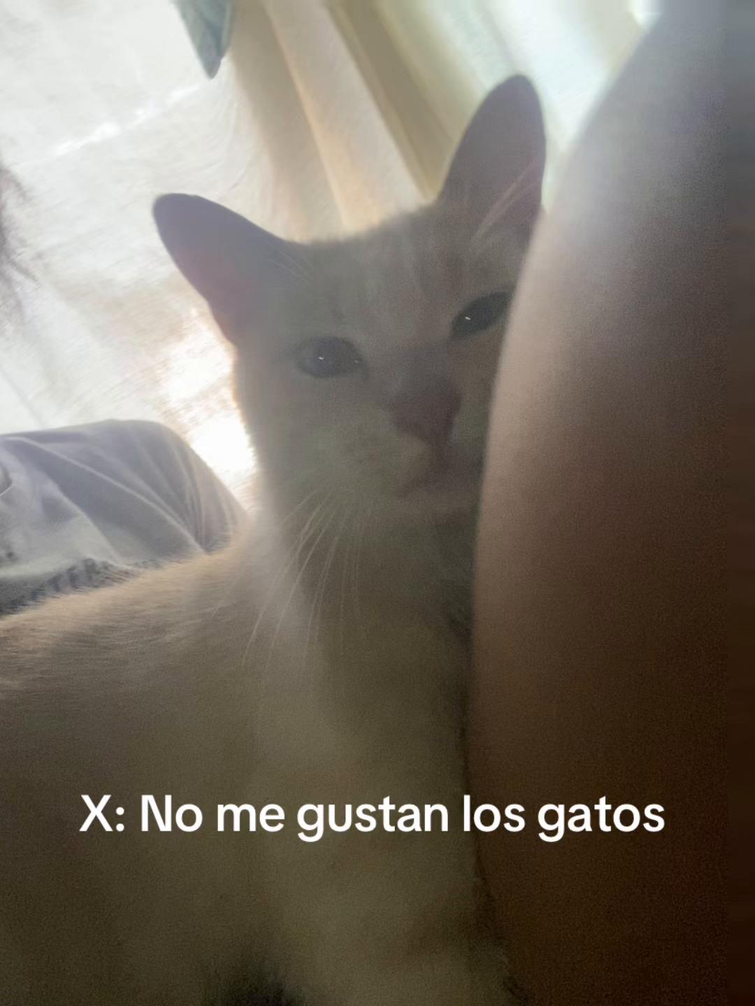 @Kiara Roch