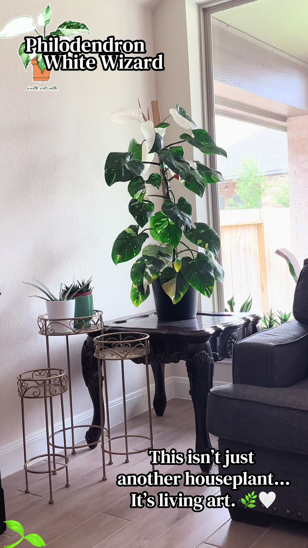 @Plants by Marco
