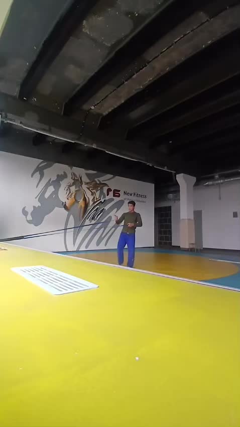 @mir_judo