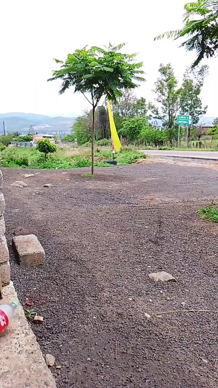 @Marin &hearts;️💋🌻