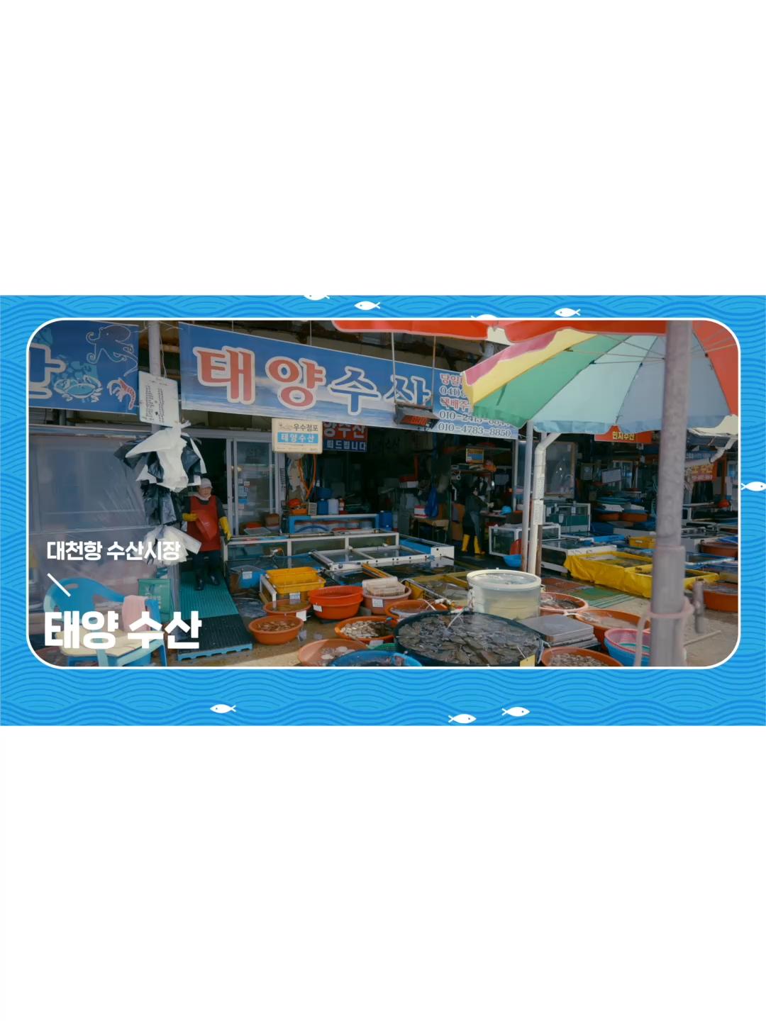 @대천항수산시장