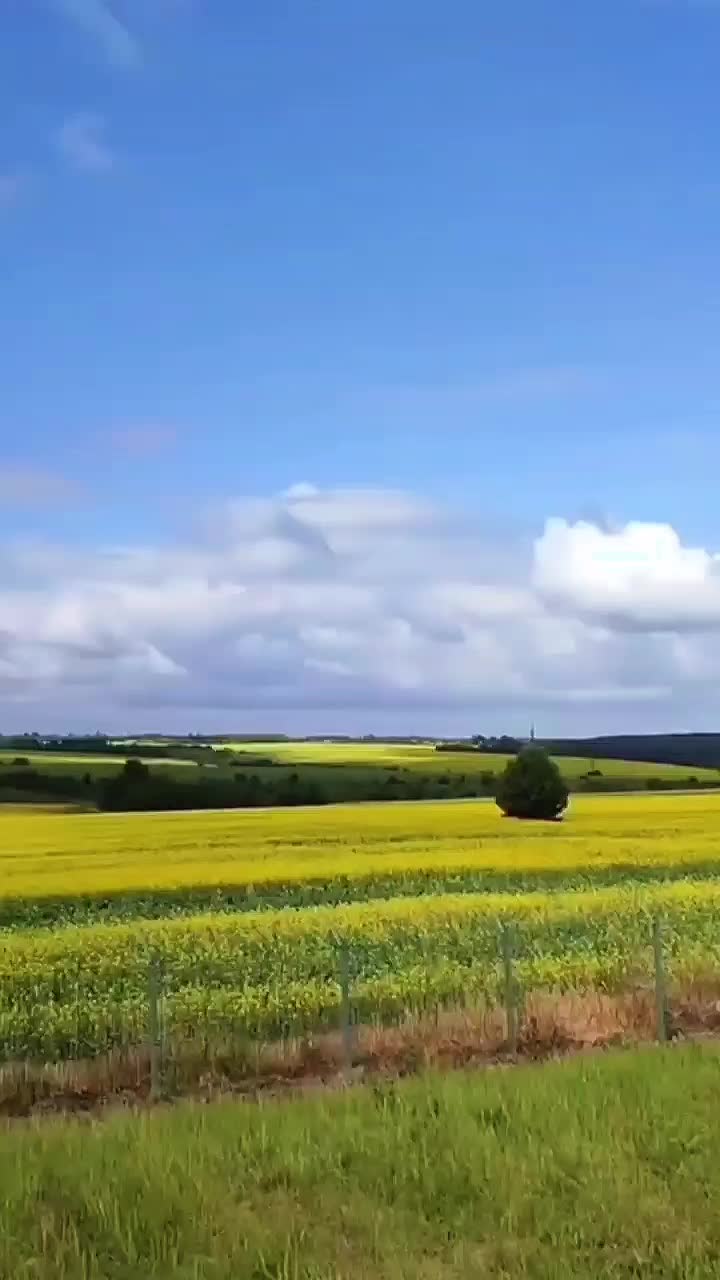 @Мара❄️