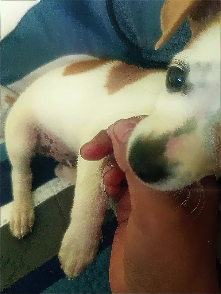 @꧁༒☬𝓙𝓞𝓢𝓤É☬༒꧂