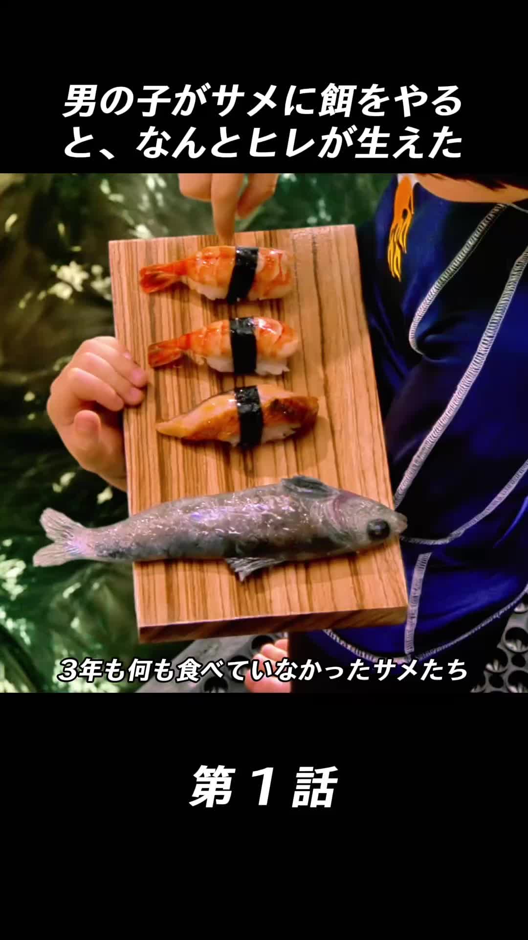 @wsjjjaarnjj
