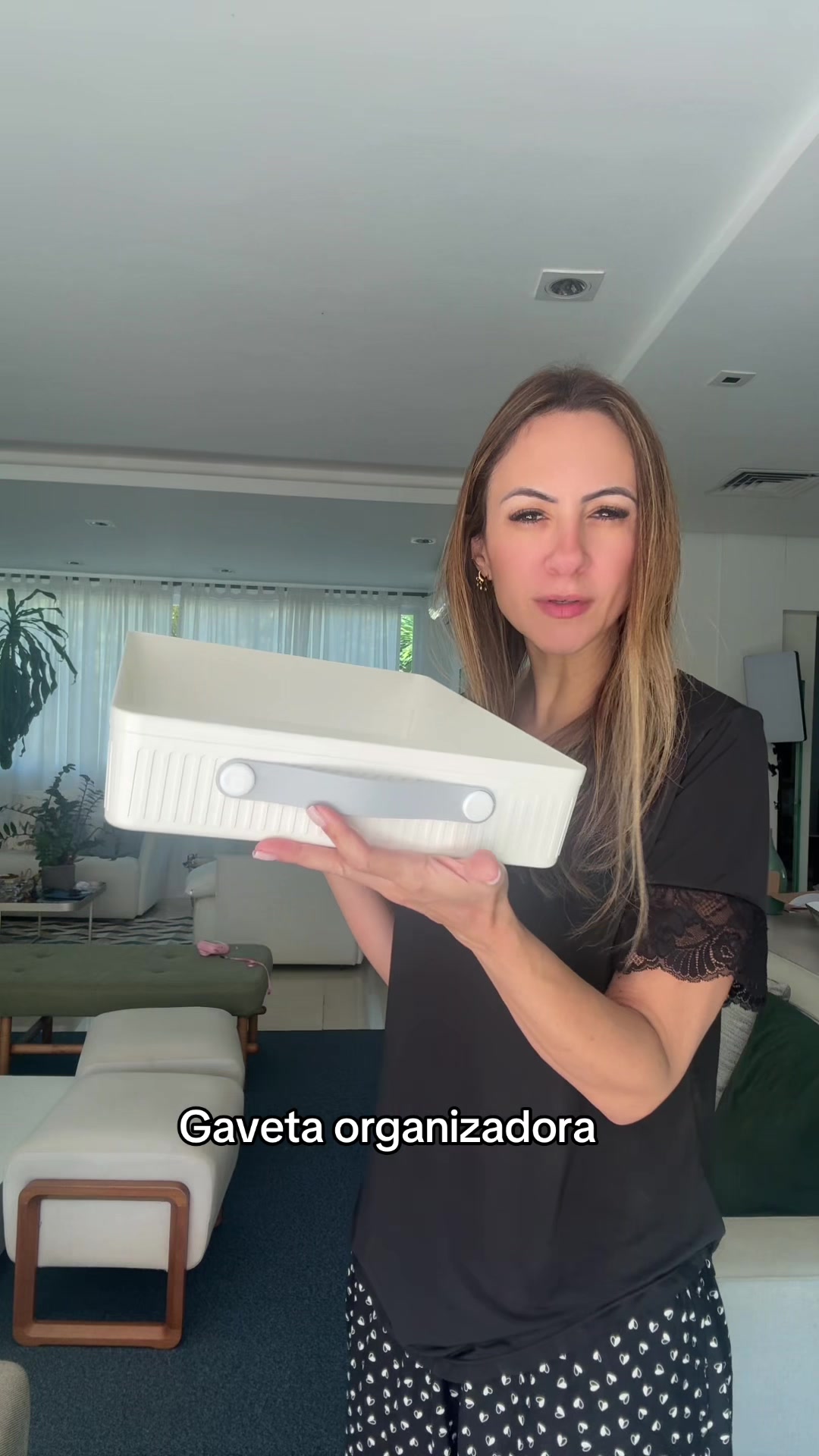 @família pimentel
