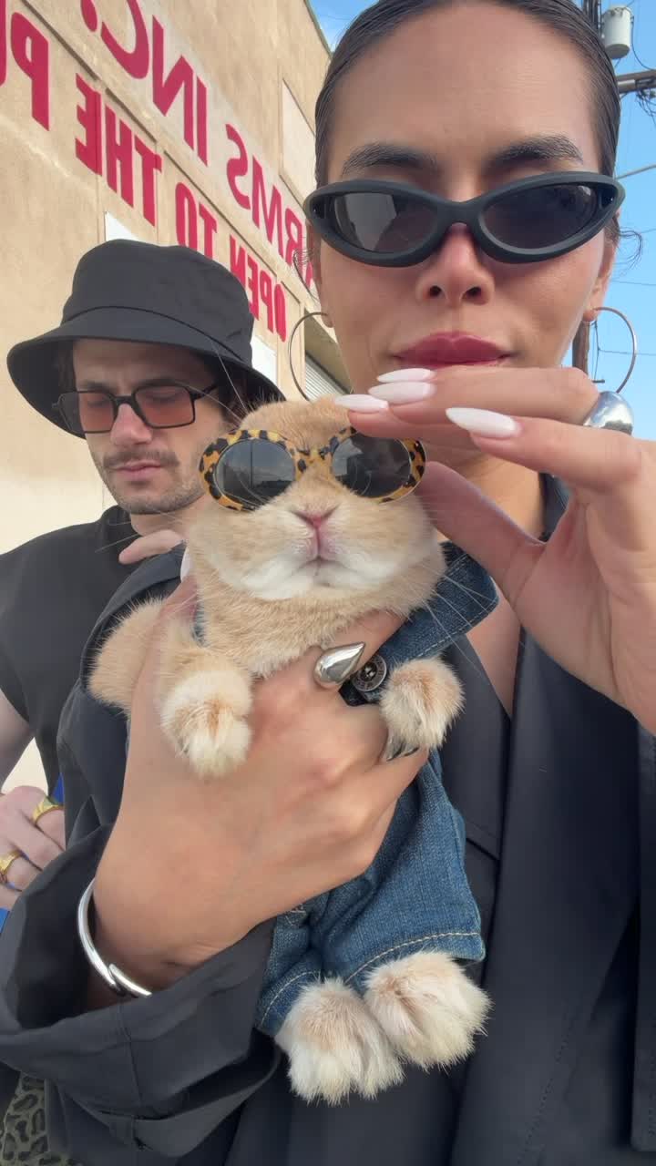 @Bunnydayoff