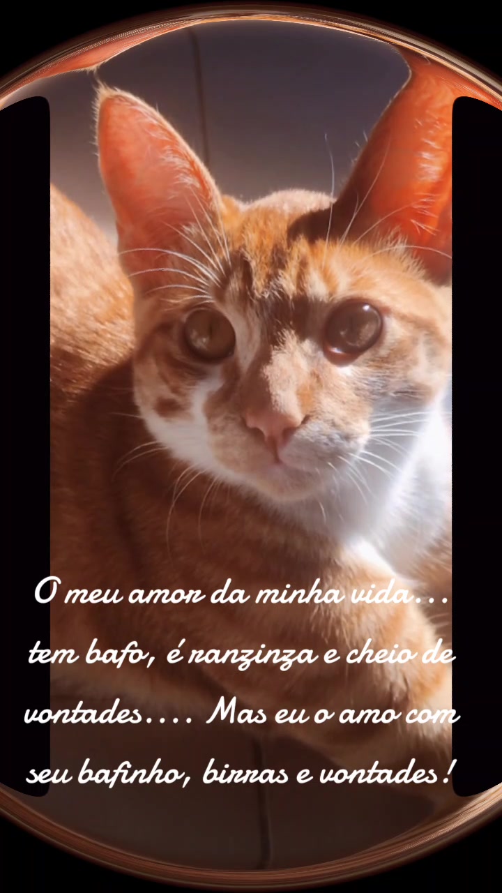 @Jacqueline Cavalcanti