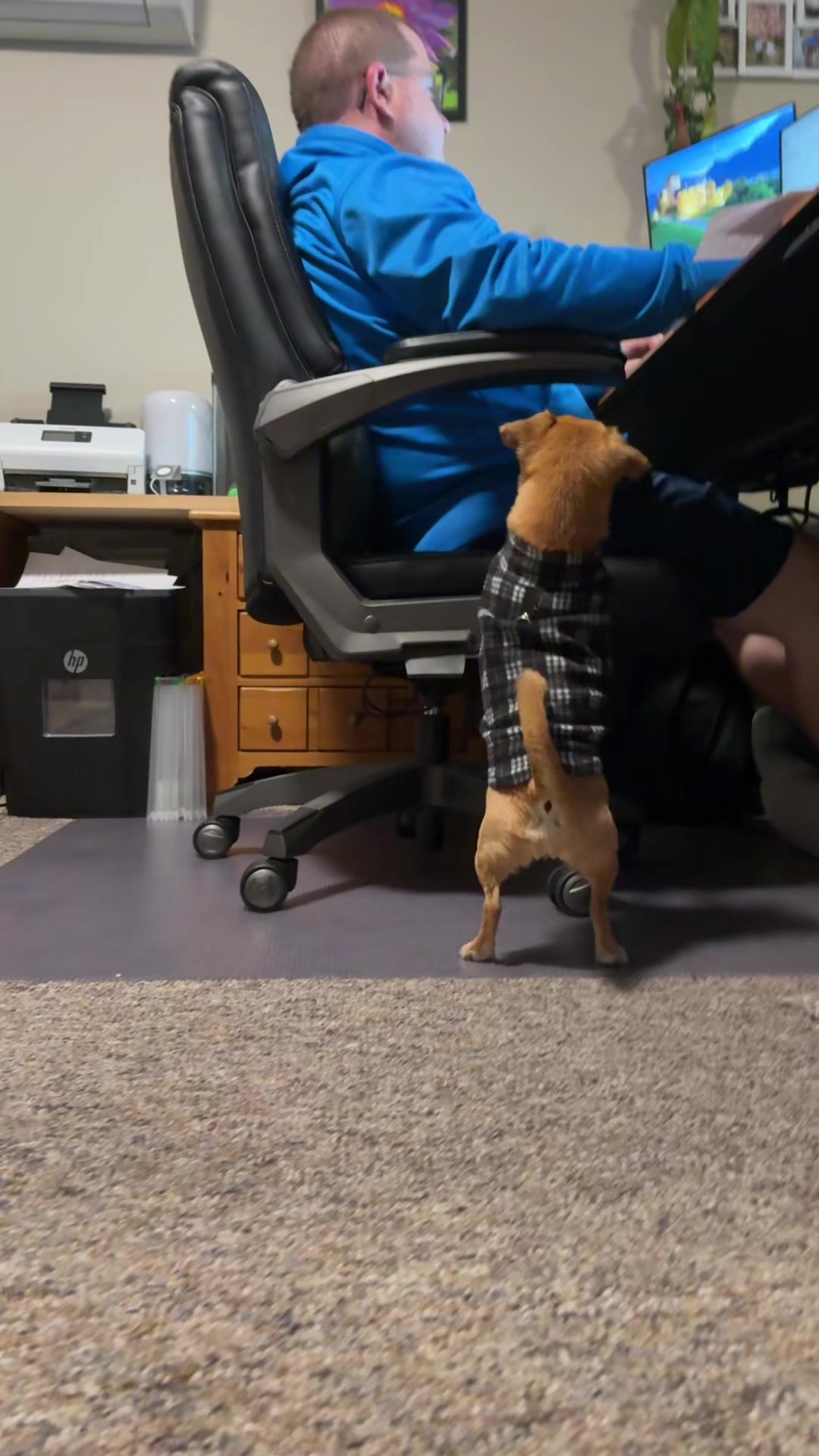 @ThePawfectDuo