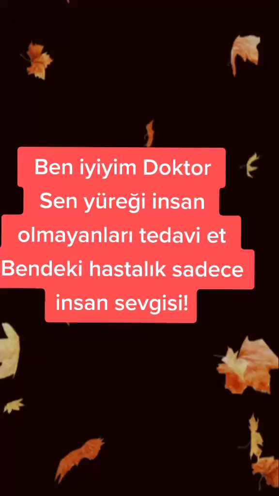 @Yildiz Rizeli 53 34