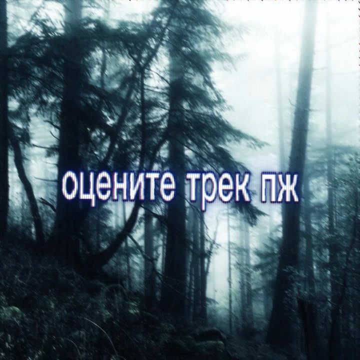 @Звездный прокат